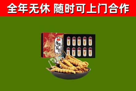 莱芜回收冬虫夏草价格