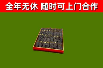 莱芜回收海参